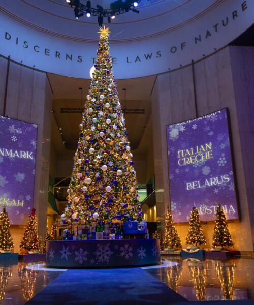 Choose Chicago Hyde Park Exploration