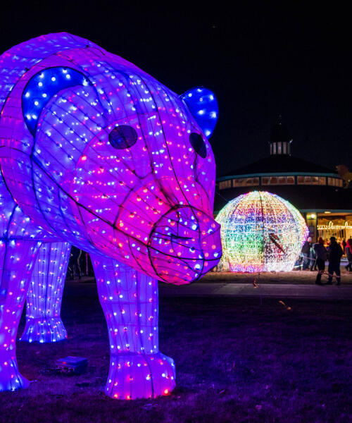 Holiday Magic at Brookfield Zoo Chicago