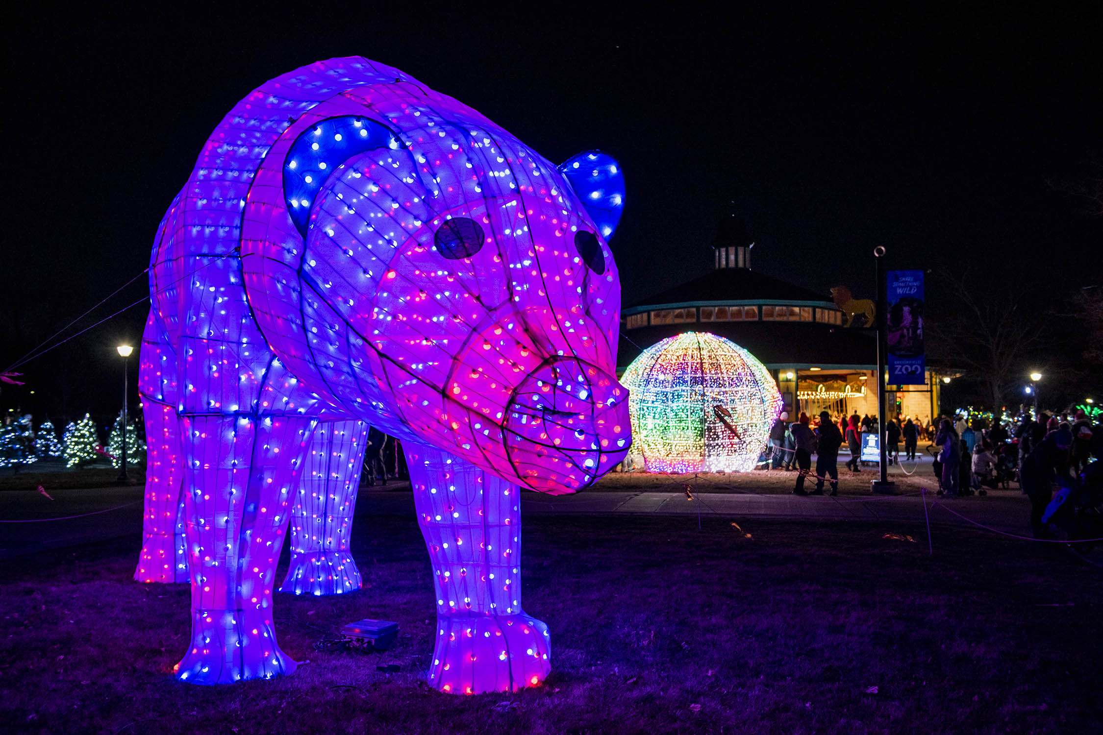 Holiday Magic at Brookfield Zoo Chicago | 12/26/2024 | Choose Chicago