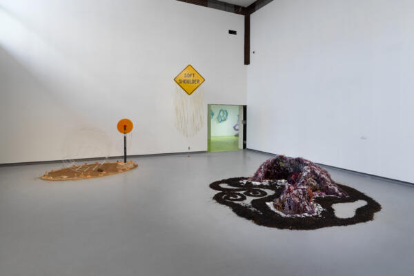 Hyde Park Art Center; photography by Tom Van Eynde