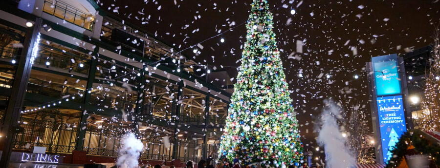 Winterland-Tree-Lighting-Ceremony