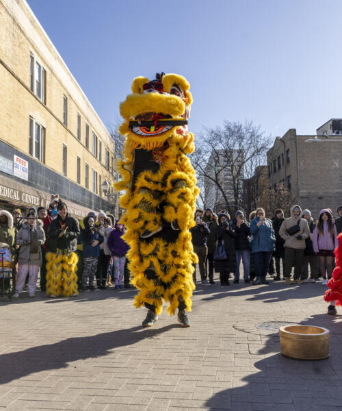 Argyle Lunar New Year Celebration