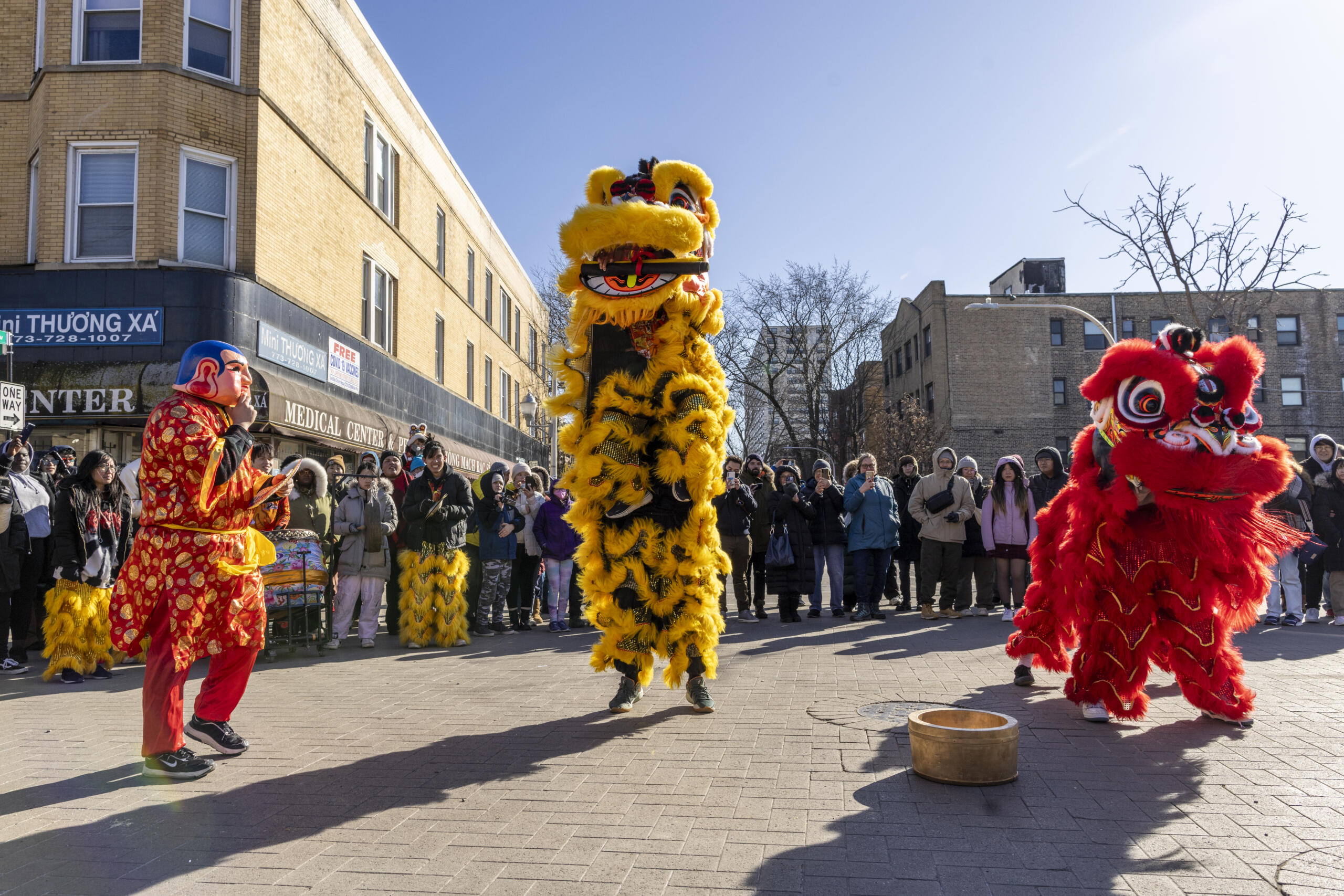 Argyle Lunar New Year Celebration 02/08/2025 Choose Chicago