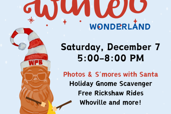 Wicker Park Bucktown Winter Wonderland