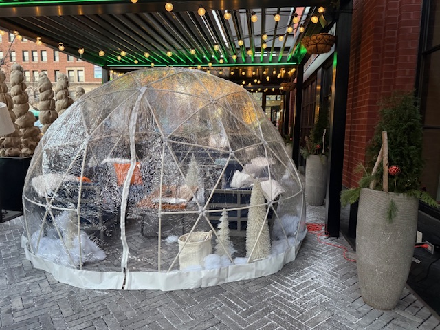 The Mesler Hyde Park igloos