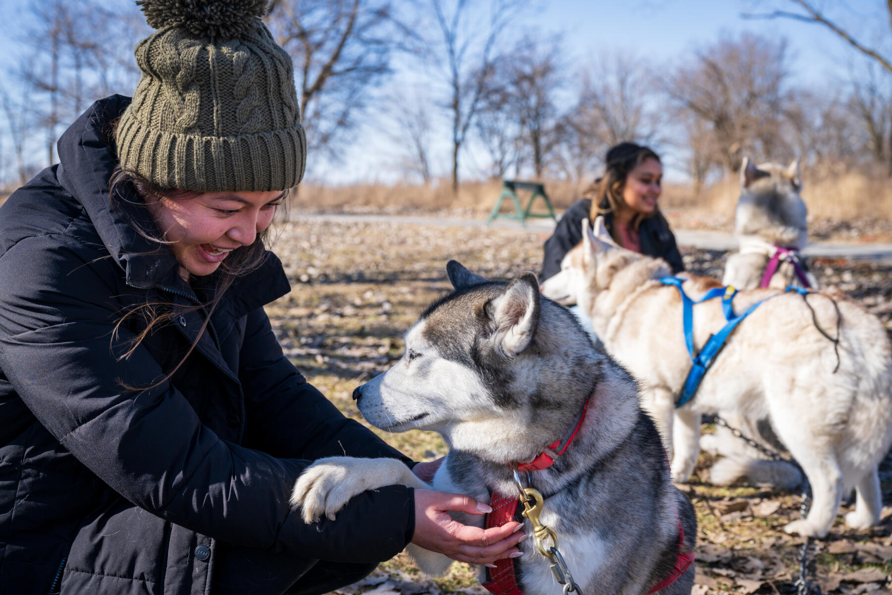 The Polar Adventure Day at Big Marsh Park in Chicago.