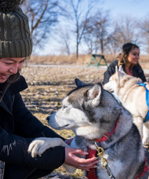 The Polar Adventure Day at Big Marsh Park in Chicago.