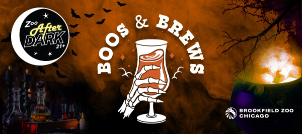 BoosBrews Rev WebsiteBanner-600