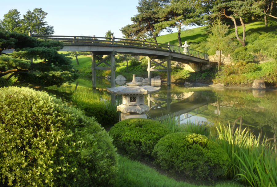 A bridge and water in Chicago Botanic Garden