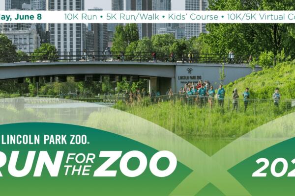 Run for the Zoo