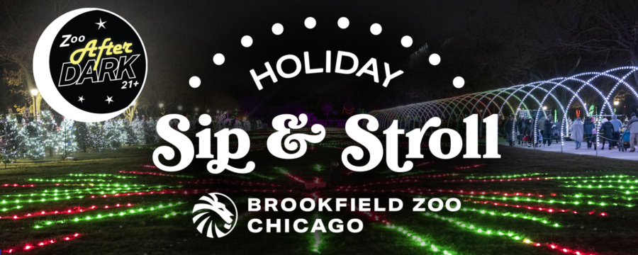Zoo After Dark: Holiday Sip & Stroll