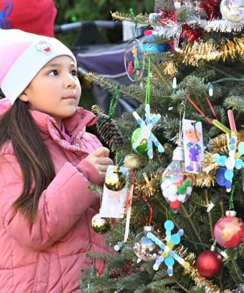 Brookfield Zoo Chicago Tree Trim