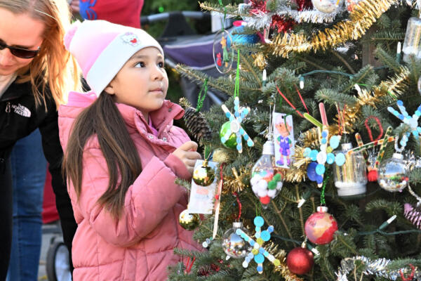 Brookfield Zoo Chicago Tree Trim