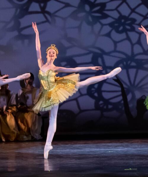 A&A BALLET Performs Sleeping Beauty Featuring Internationally Award-winning Cast
