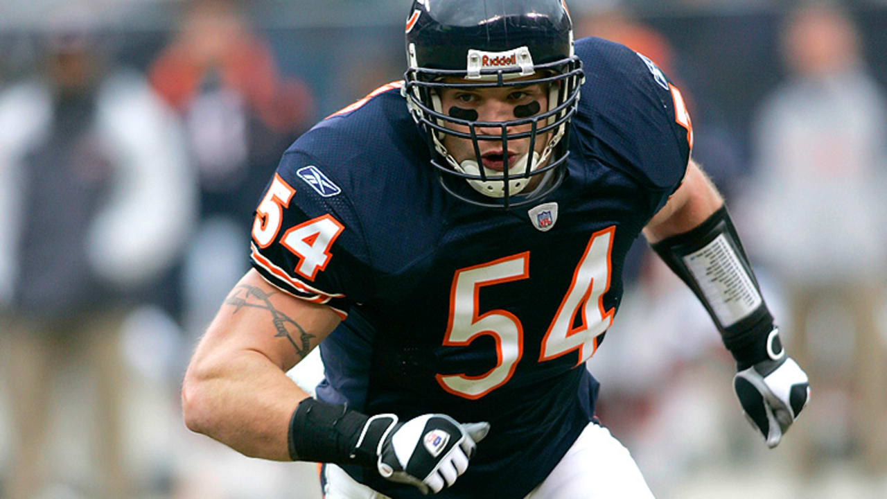 Bears-image001 (7)