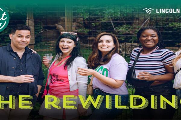 Adults Night Out: The Rewilding at Lincoln Park Zoo
