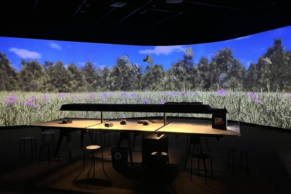 By A Thread: Nature’s Resilience