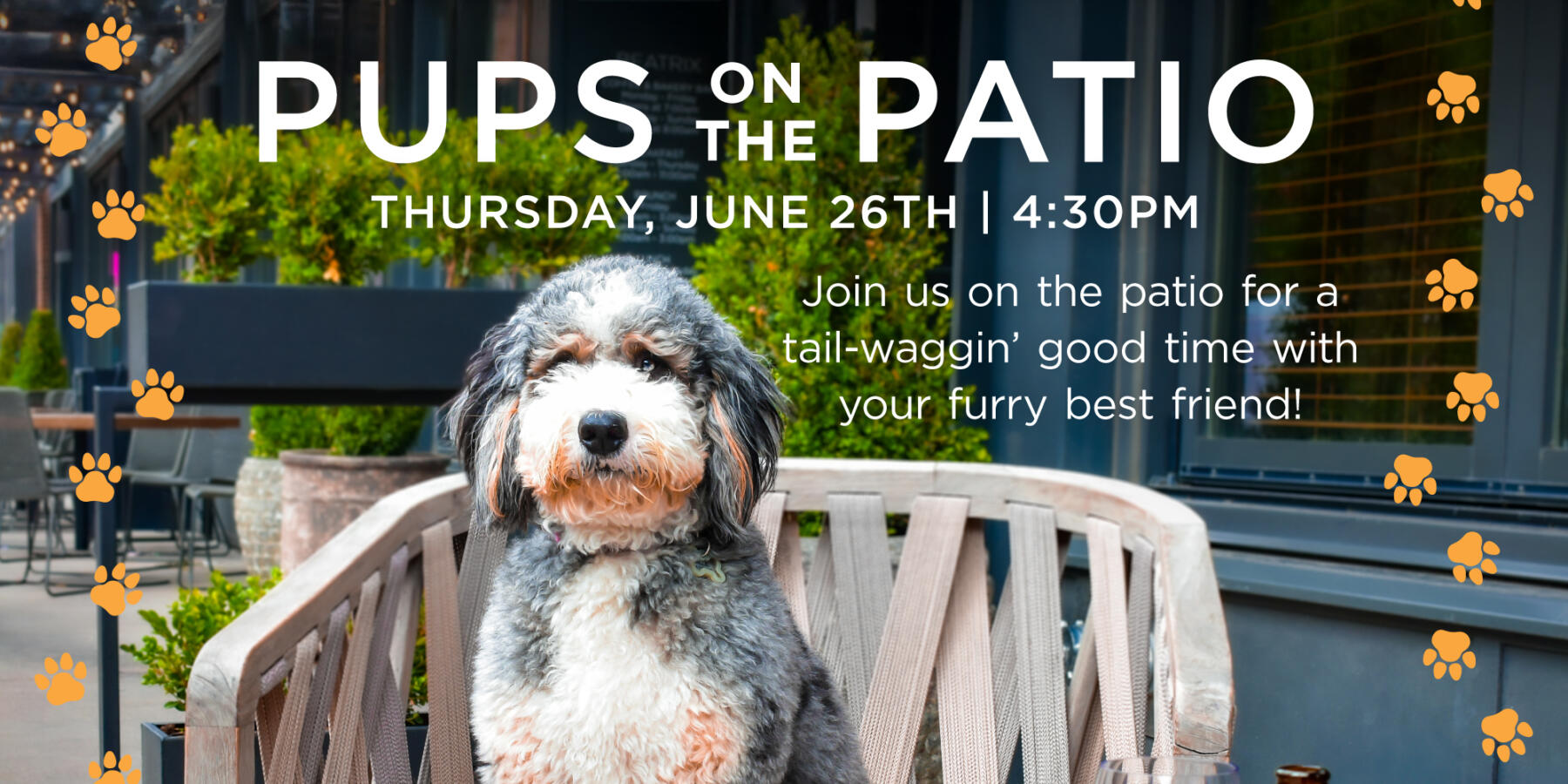 Pups-on-the-Patio-Banner
