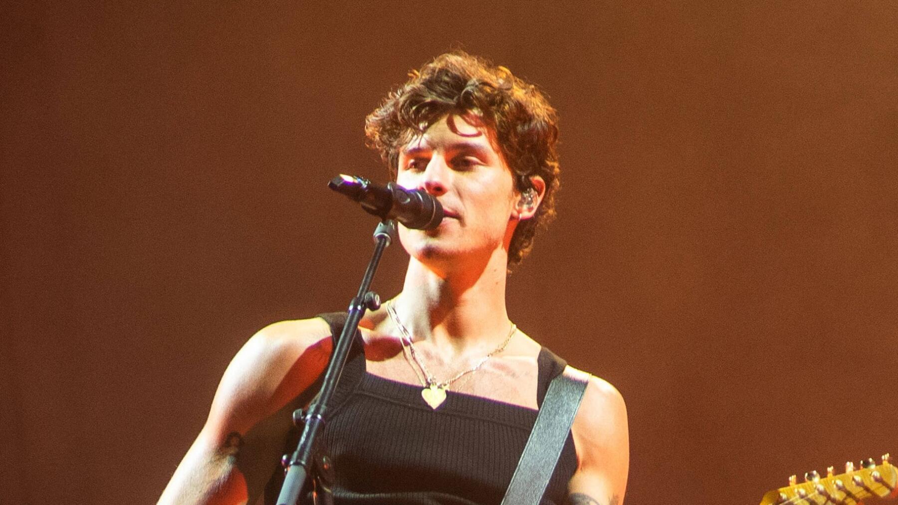 Shawn Mendes 2025