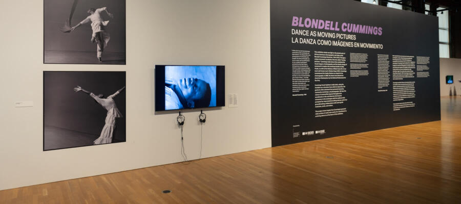 Blondell Cummings: Dance as Moving Pictures