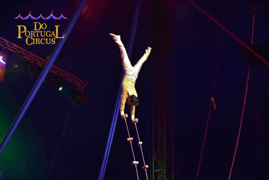 Do Portugal Circus arrived in Chicago