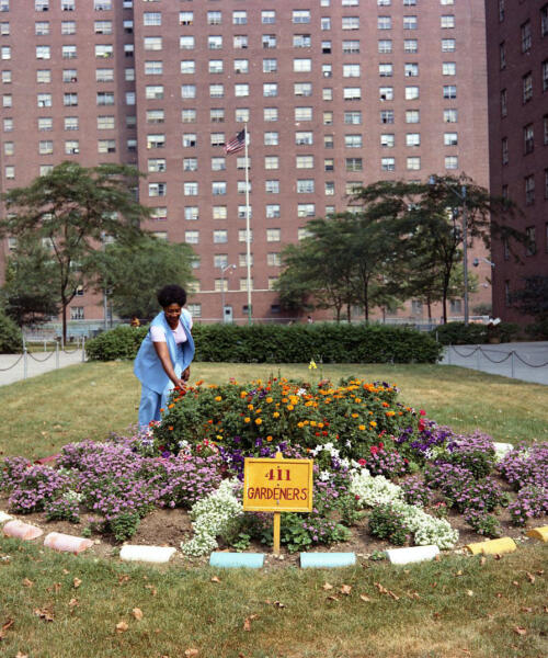 Living in the Shade: Open Space and Public Housing