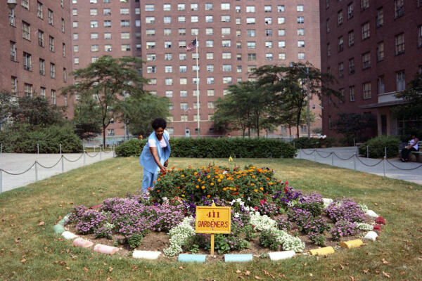 Living in the Shade: Open Space and Public Housing
