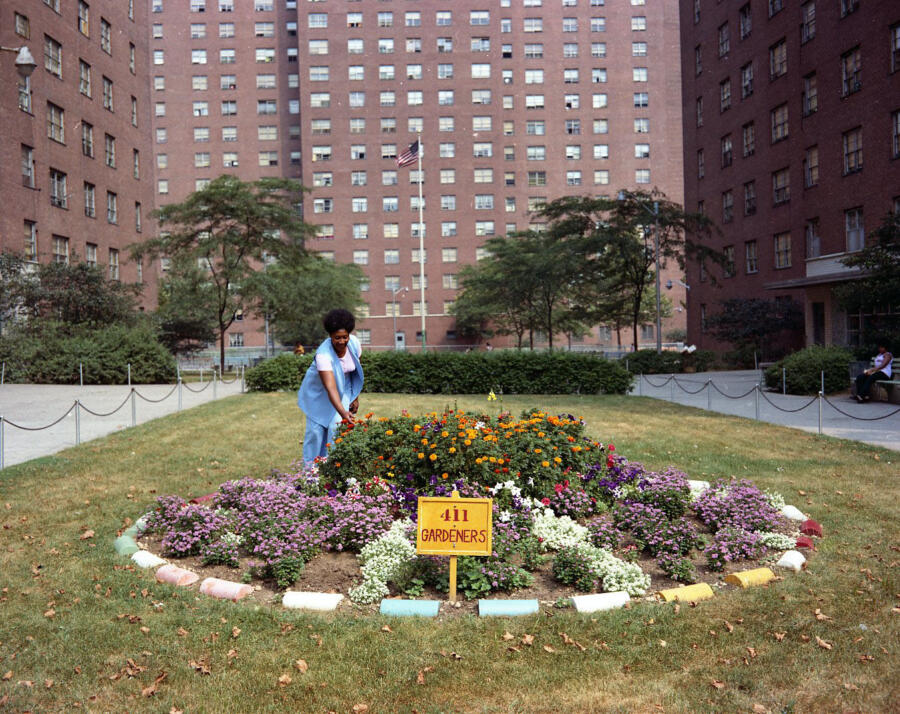 Living in the Shade: Open Space and Public Housing