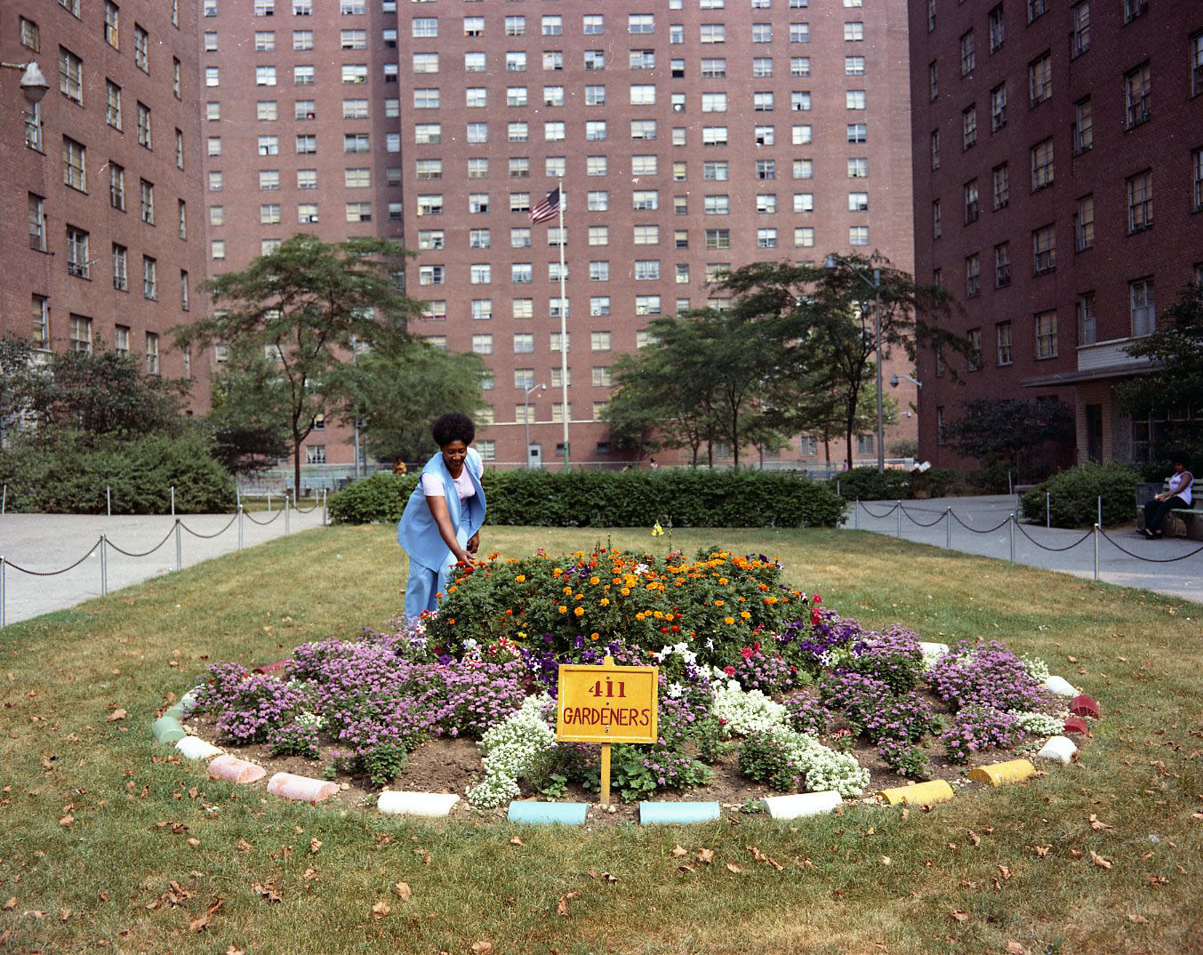 Flower Bed Lafayette Gardens Courtesy of the LaGuardia & Wagner Archives 02.005.003
