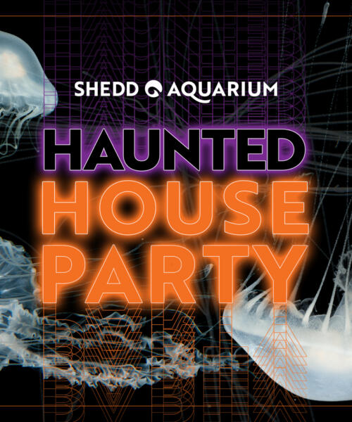 Haunted House Party at Shedd Aquarium