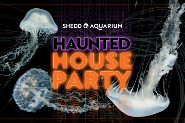 Haunted House Party at Shedd Aquarium