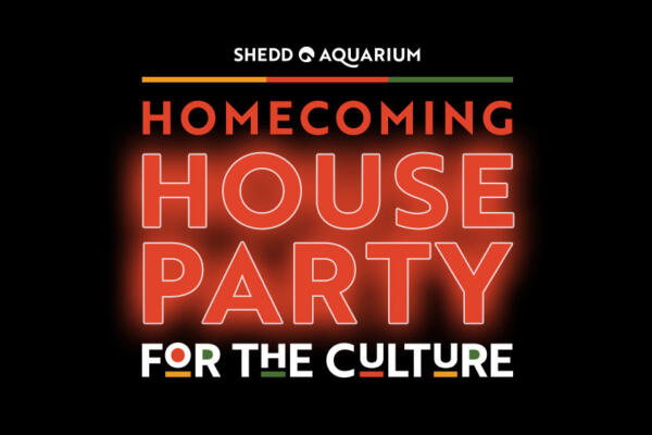 Homecoming House Party at Shedd Aquarium