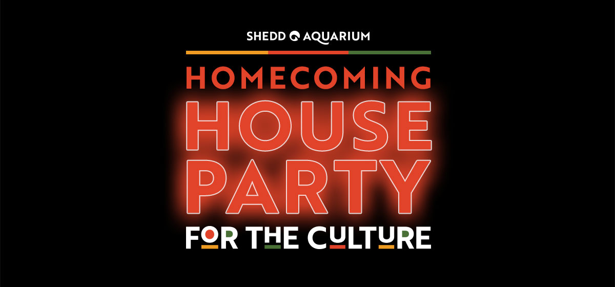 Homecoming-House-Party