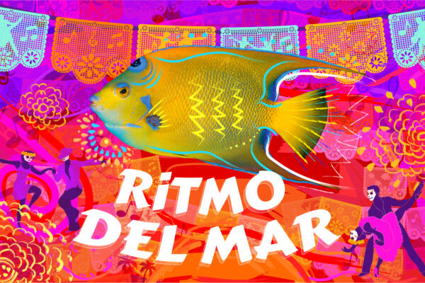 Día de los Muertos Ritmo del Mar at Shedd Aquarium