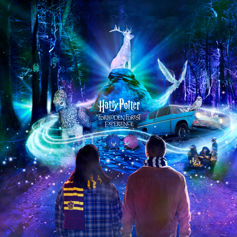 HarryPotter_AForbiddenForestExperience