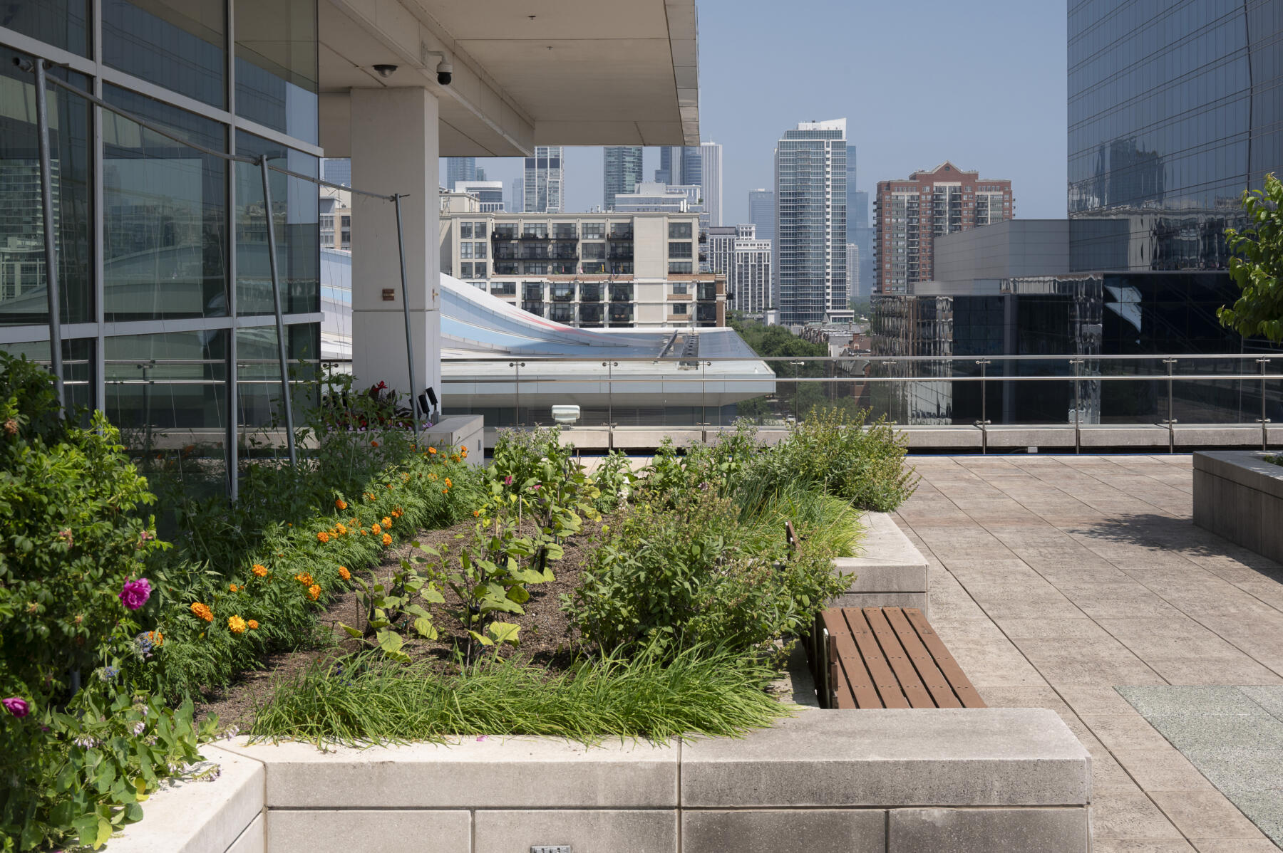 The rooftop garden at McCormick Place West