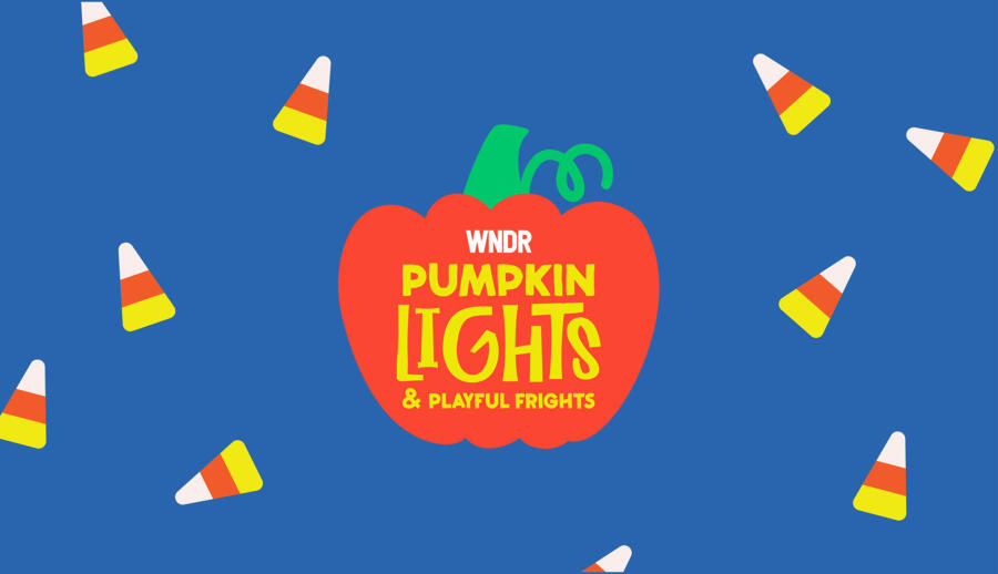 Pumpkin Lights & Playful Frights