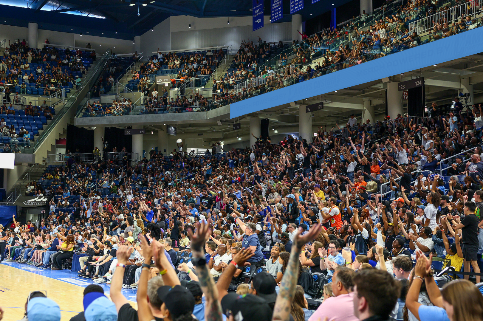 Chicago Sky basketball