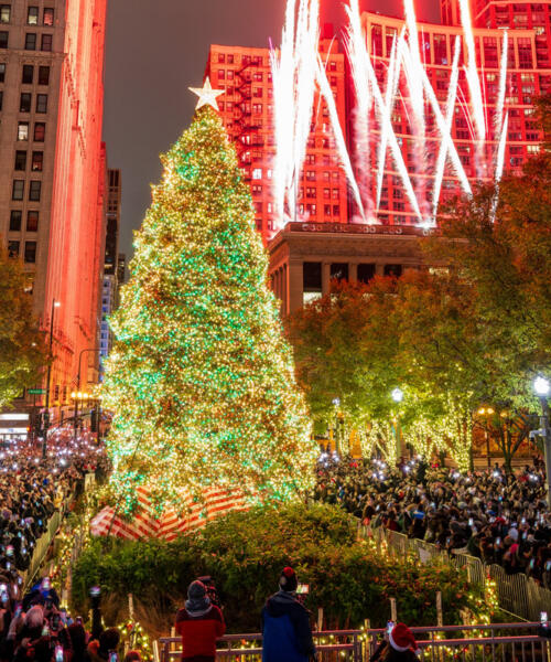 City of Chicago Christmas Tree Lighting Ceremony