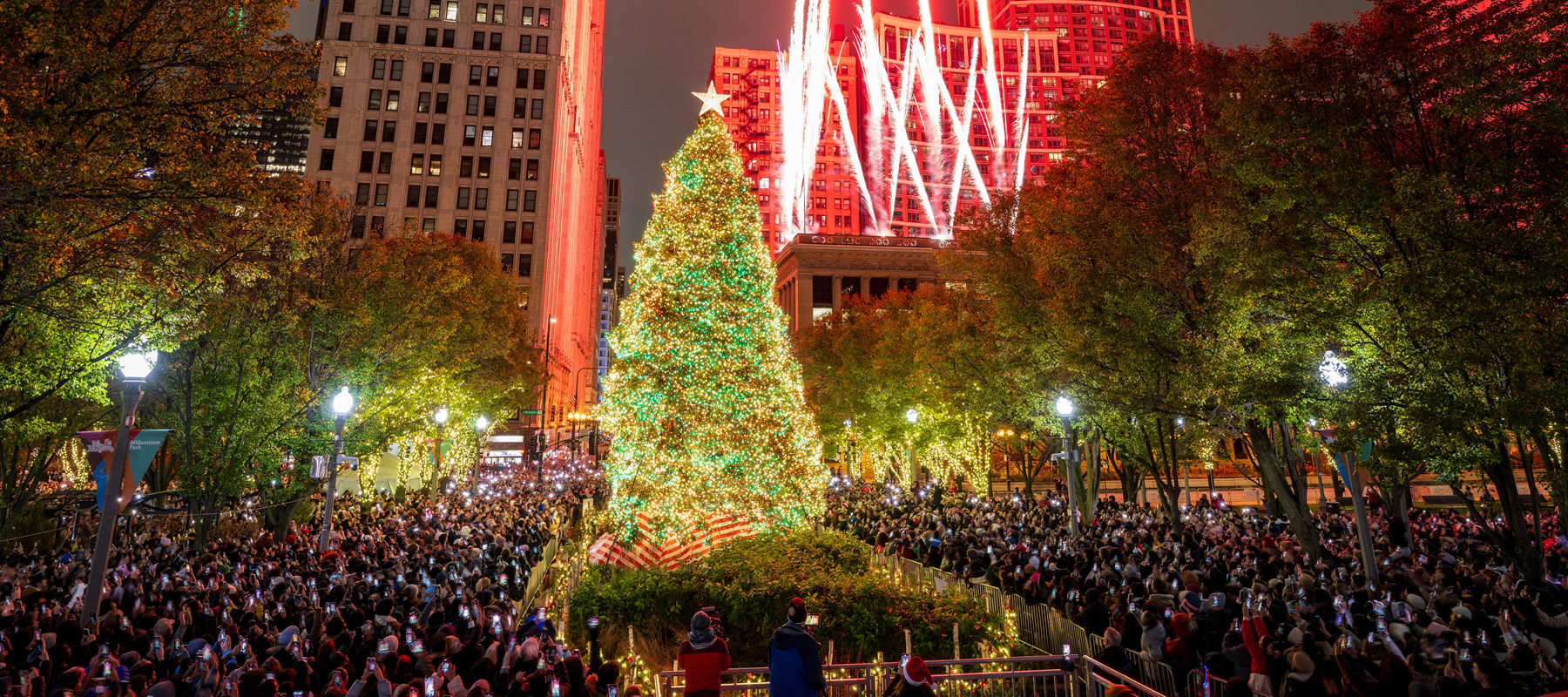 mptreelighting3