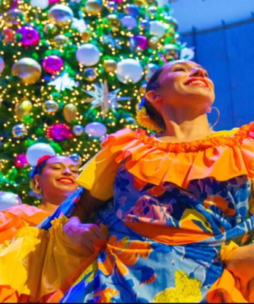 Tree Lighting & Cultural Festival at Griffin Museum of Science and Industry