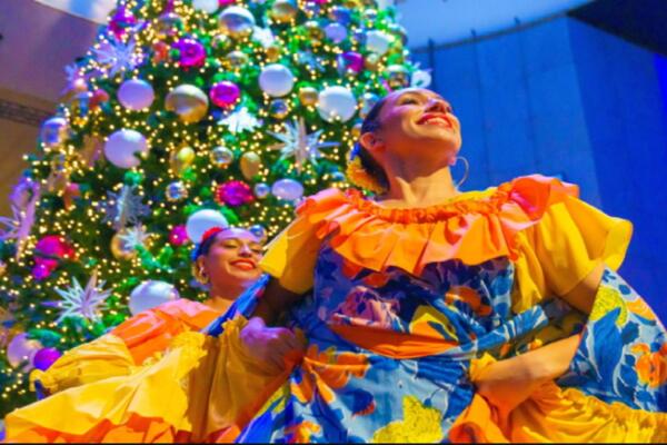 Tree Lighting & Cultural Festival at Griffin Museum of Science and Industry