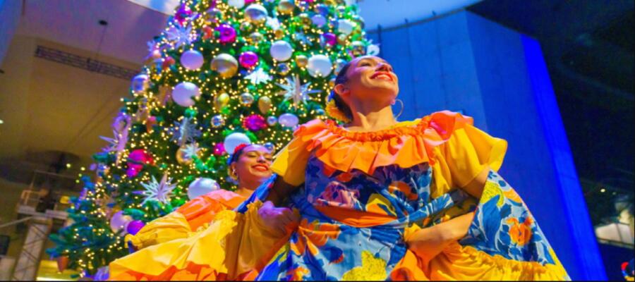 Tree Lighting & Cultural Festival at Griffin Museum of Science and Industry