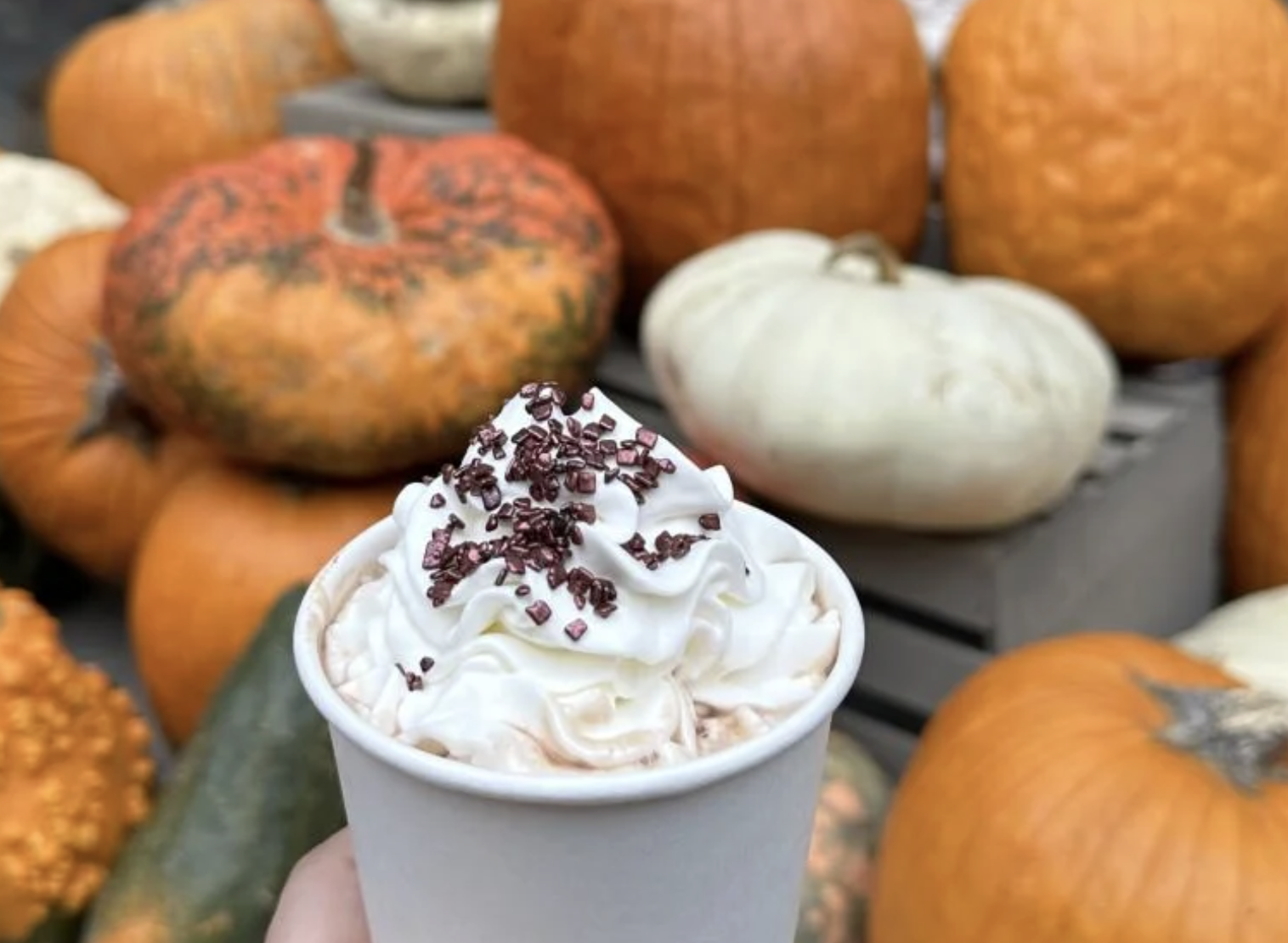 Screenshot 2025-10-02 at 4.48.01 PM