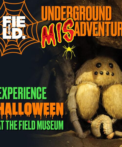 Underground MISadventure at Field Museum