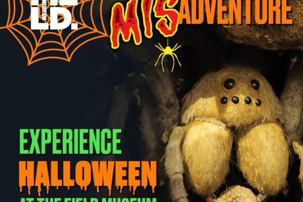 Underground MISadventure at Field Museum