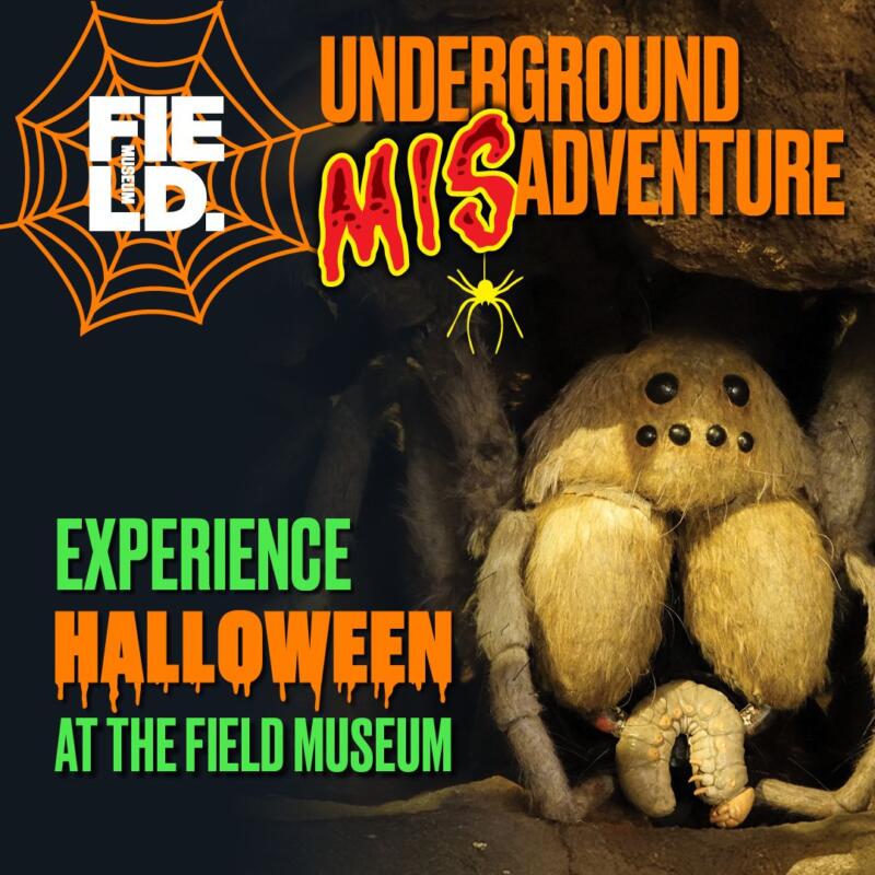 Underground MISadventure at Field Museum