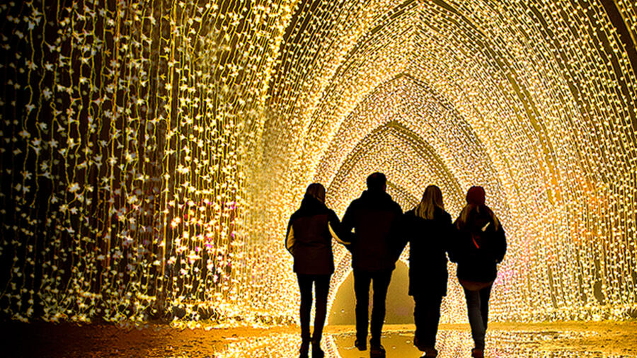Lightscape