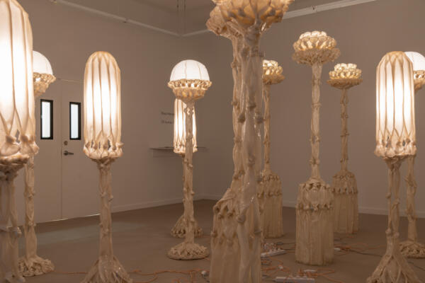 An installation view of an exhibit at Volume Gallery in Chicago