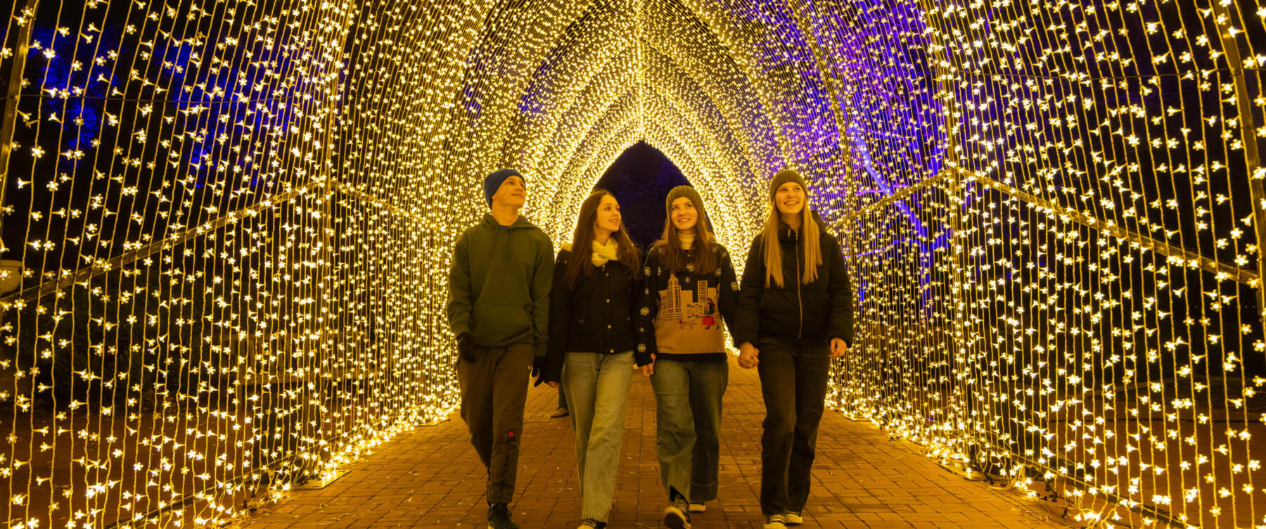 Lightscape at the Chicago Botanic Garden